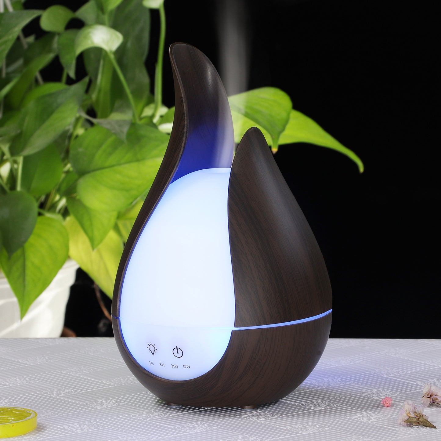 Harmony Diffuser